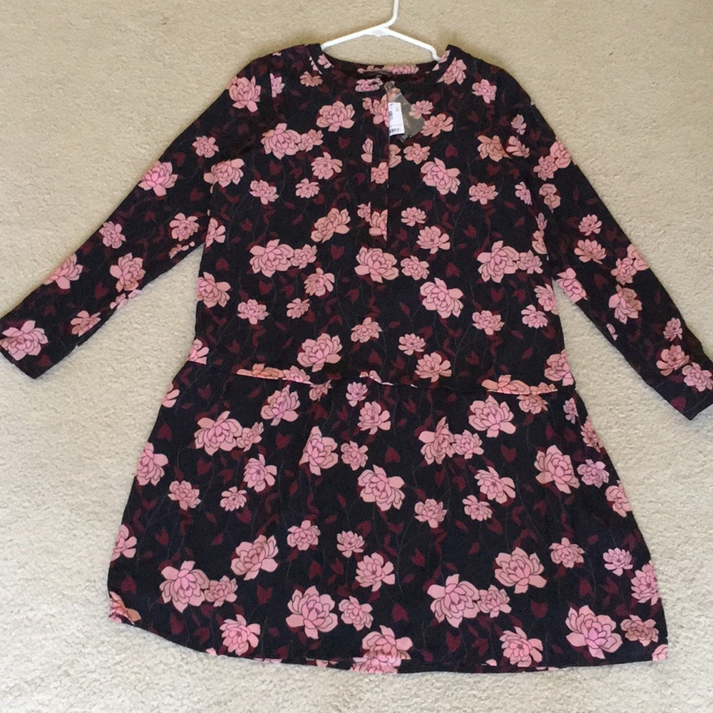 The Limited Drop Waist Dress